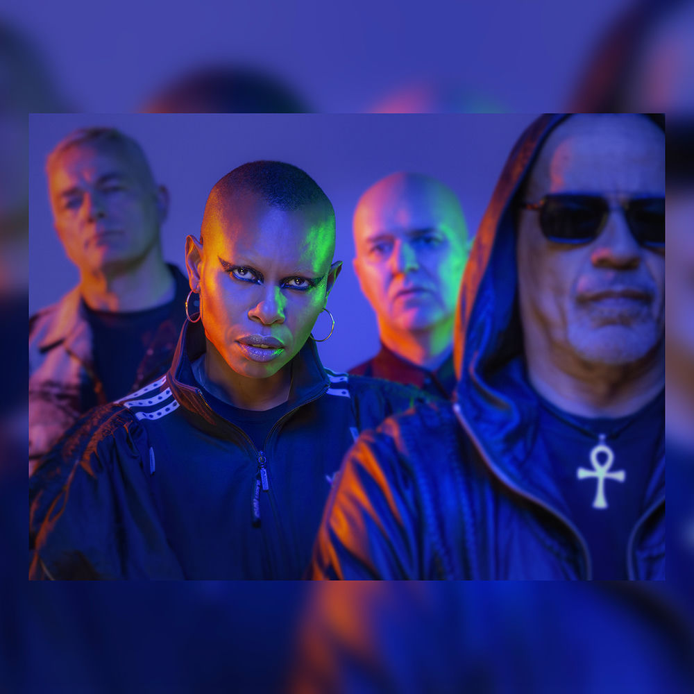 Anansie Skunk