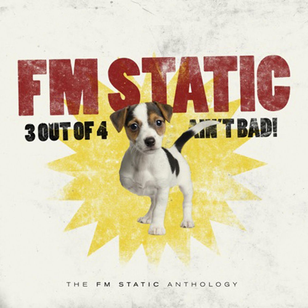 FM Static